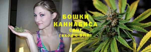 первитин Ельня