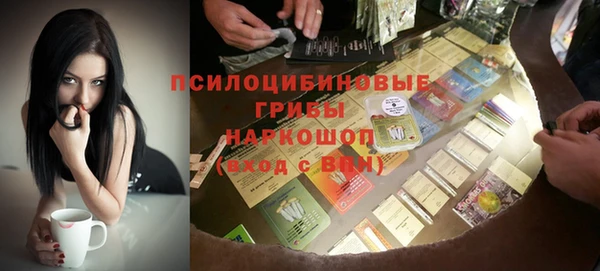 первитин Ельня