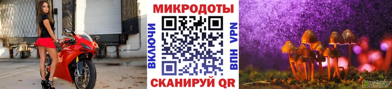 Галлюциногенные грибы Magic Shrooms купить сайты Михайловка